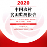 [249] 中国农村贫困监测报告(2000-2020年)